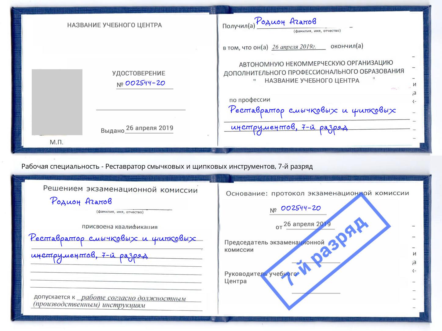 корочка 7-й разряд Реставратор смычковых и щипковых инструментов Кисловодск